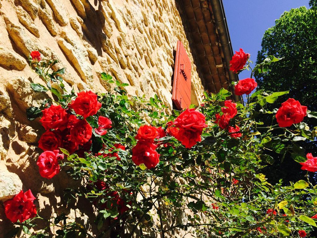 Bed and Breakfast Le Mas De Cocagne En Provence Малокен Экстерьер фото