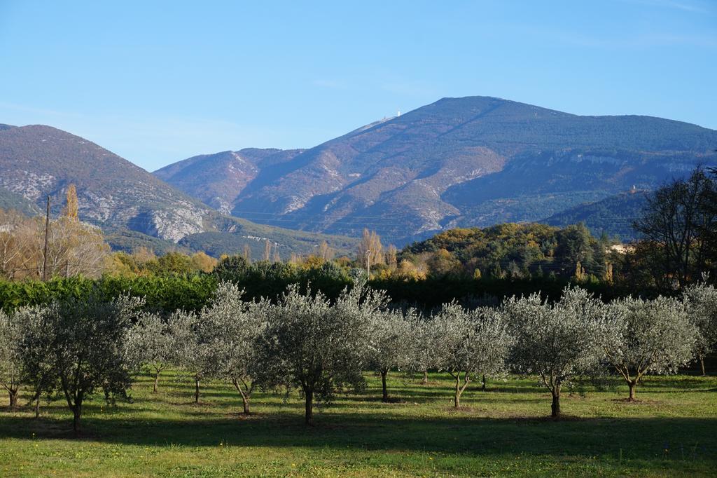 Bed and Breakfast Le Mas De Cocagne En Provence Малокен Экстерьер фото