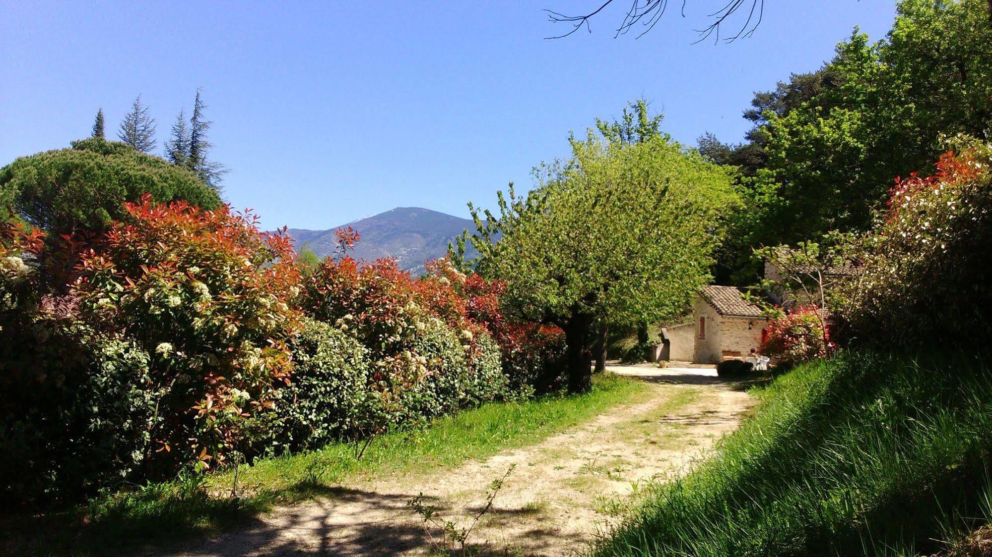 Bed and Breakfast Le Mas De Cocagne En Provence Малокен Экстерьер фото